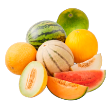 Galia, cantaloupe, limeloen,
watermeloen of gele honingmeloen